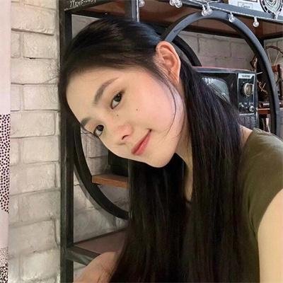 完美的独裁国家